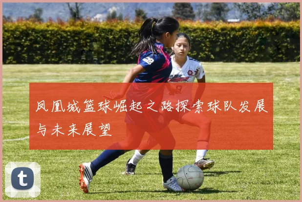 凤凰城篮球崛起之路探索球队发展与未来展望