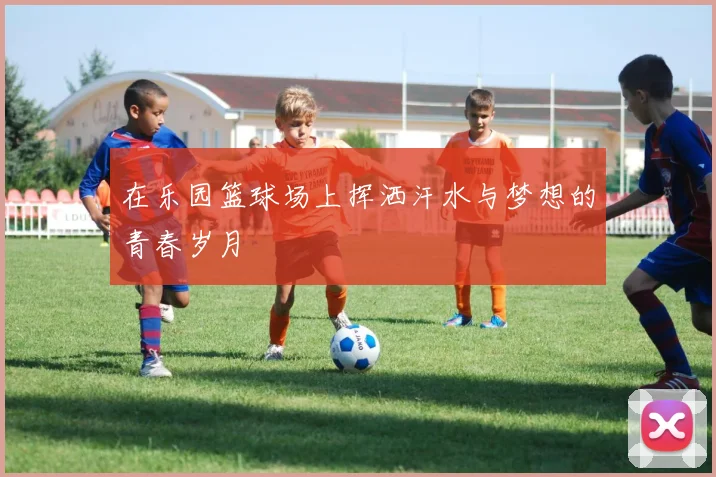 在乐园篮球场上挥洒汗水与梦想的青春岁月