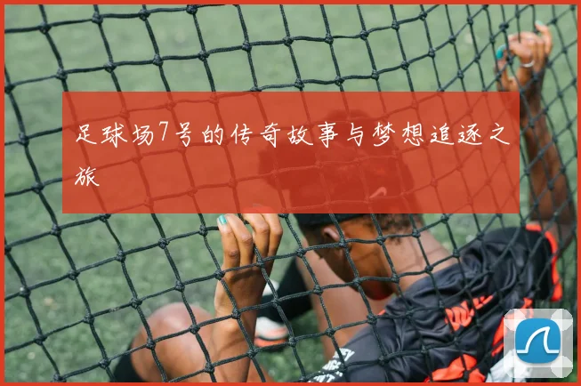 足球场7号的传奇故事与梦想追逐之旅