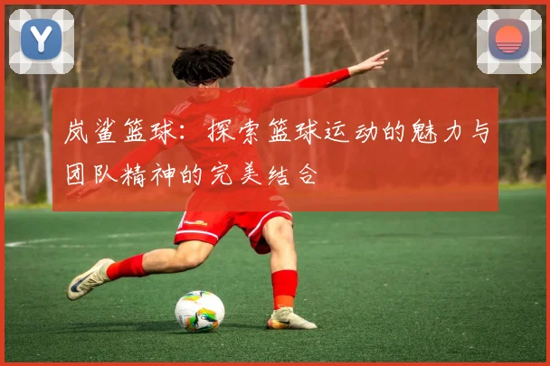 岚鲨篮球：探索篮球运动的魅力与团队精神的完美结合