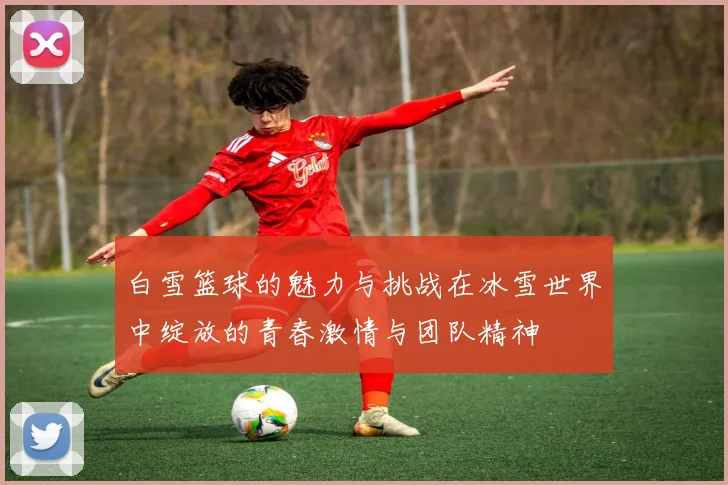 白雪篮球的魅力与挑战在冰雪世界中绽放的青春激情与团队精神