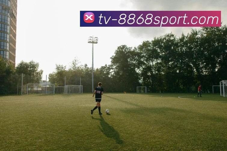 NBA新闻平台生态图